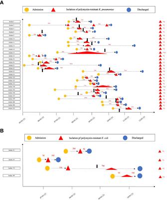 Prevalence and molecular characteristics of polymyxin-resistant Enterobacterales in a Chinese tertiary teaching hospital